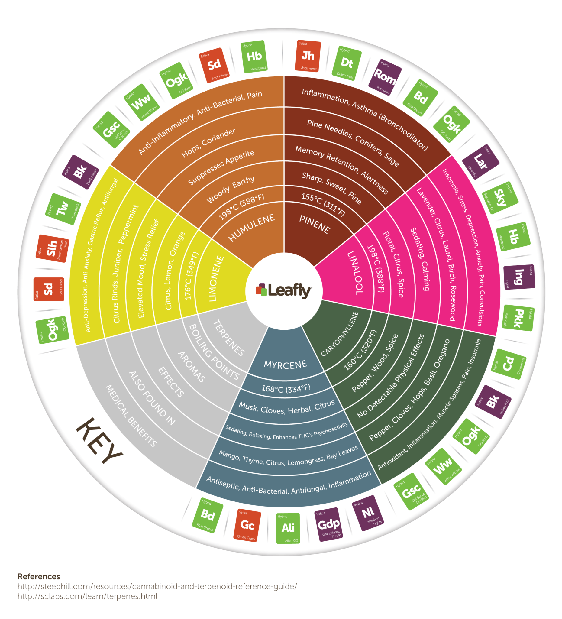 What Is A Terpene Chart How Do I Read It Terpene Chart With Visuals